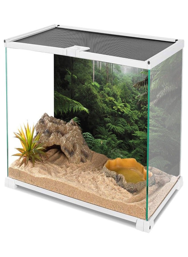 AWERT Foggy Forest Terrarium Background Green Tree Reptile Habitat Background Tropical Rainforest Aquarium Background 36x18 inches Polyester Background - Image 3